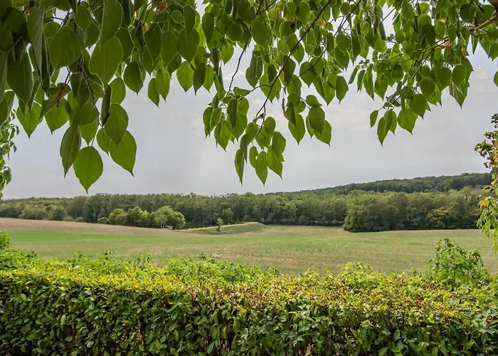 Orchidee * Dégagnac