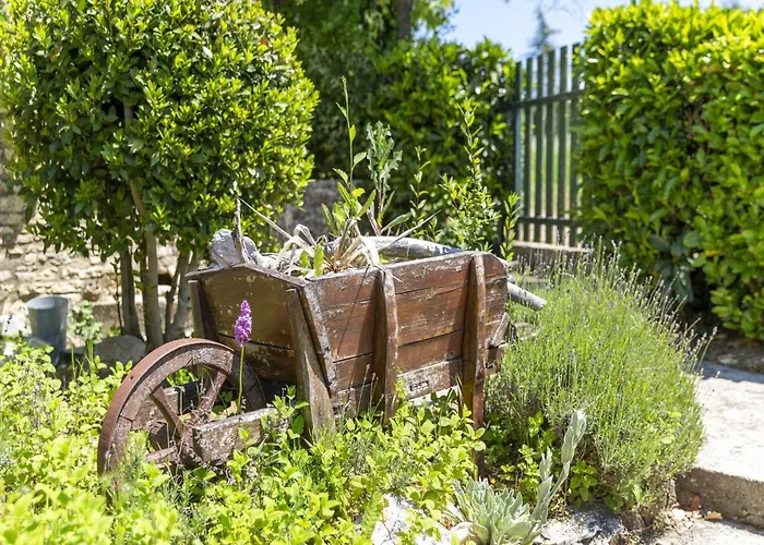 Semesterbostad Orchidee Dégagnac