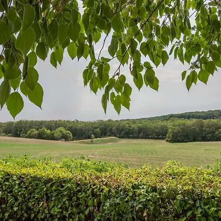 Orchidee * Dégagnac