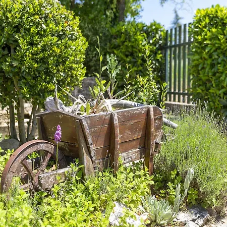 Hébergement de vacances Orchidee Dégagnac