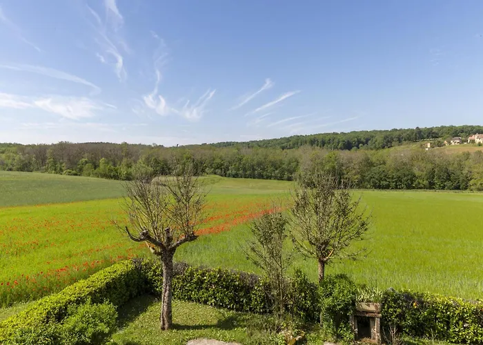 Orchidee بيت للعطل *